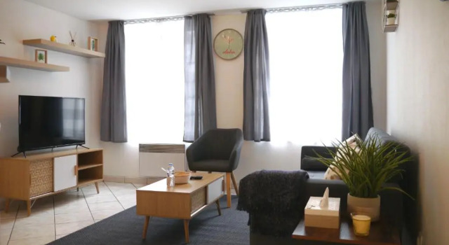 Апартаменты Superior Les Cosy de Nancy - Le Repere du Roi Stanislas 4etoiles