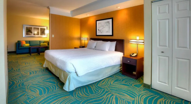Двухместная студия SpringHill Suites by Marriott - Tampa Brandon