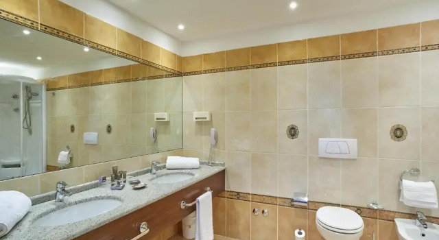 Двухместный номер Executive Meditur Hotel Bologna