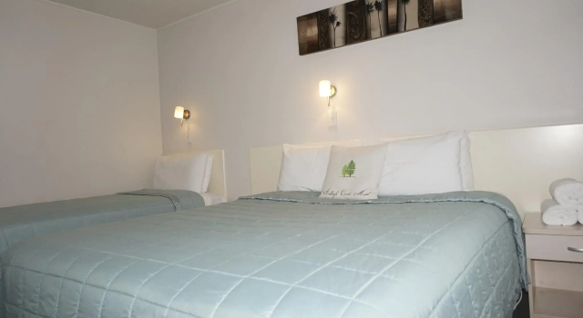 Двухместный люкс c 1 комнатой Ashleigh Court Motel-Christchurch Hagley Park