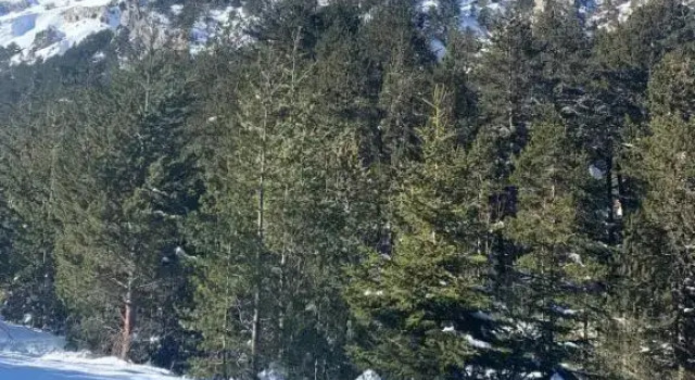 Studio flat Bansko, Prenota Hotel Hotel a Blagoevgrad con parcheggio, Parcheggio