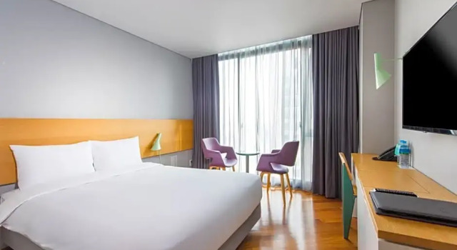 Номер Deluxe Hotel Peyto Gangnam