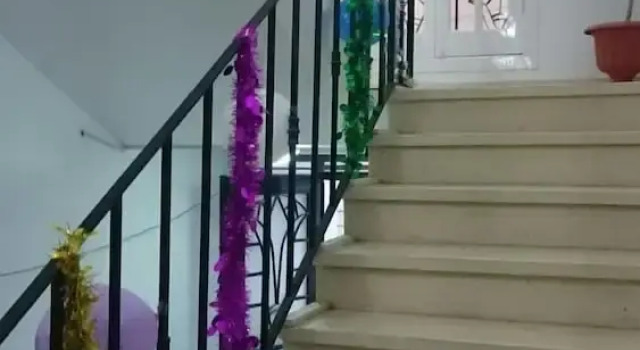 Lotus Lis House