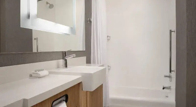 Студия SpringHill Suites By Marriott Charleston Airport & Convention Center