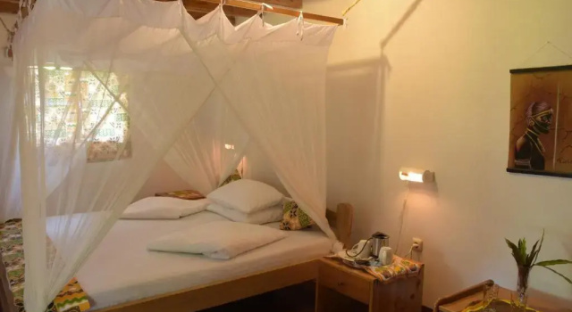 Номер Standard Meru View Lodge