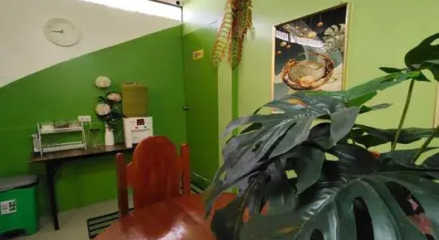 MilVir Tourist Inn El Nido near Beach, Rezervovat Hotel Hotely v El Nido Region s parkováním, Parkování