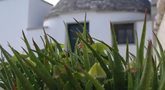 Trullo Perla dItria