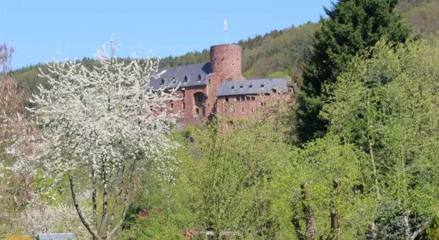 Ferienwohnung Burgsicht