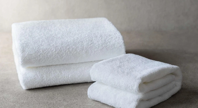 Люкс Deluxe Mercure Toyama Tonami Resort & Spa