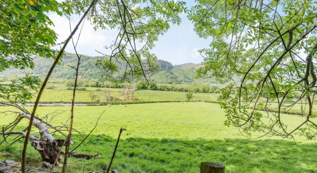 Hytte Bluebell Cottage