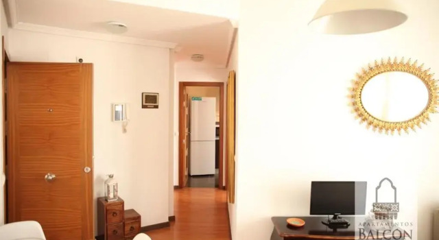 Апартаменты c 1 комнатой с балконом Apartamentos Balcón de la Vega