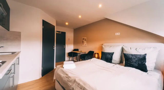 Двухместный номер Comfort Premium Apartments Koblenz