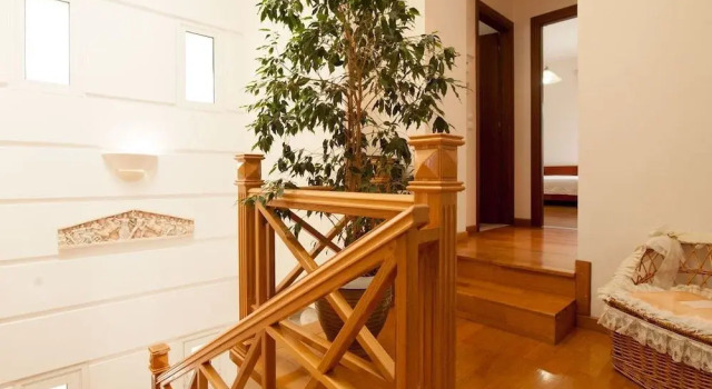 Villa Aphrodite
