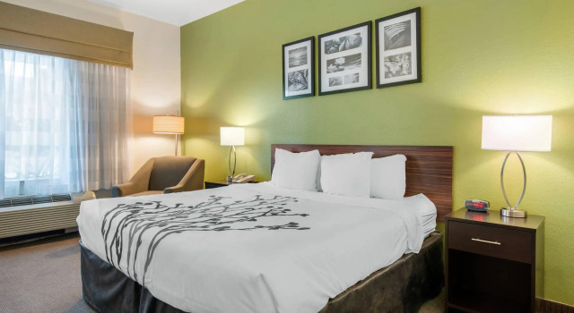 Двухместный номер Standard Sleep Inn & Suites Port Charlotte-Punta Gorda
