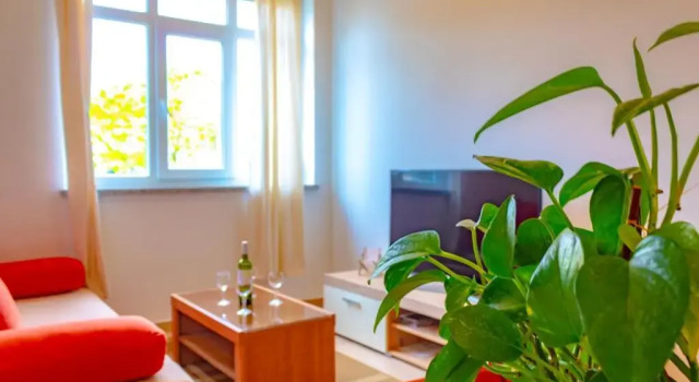 Apartment Botic