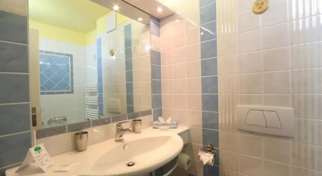 Номер Deluxe Lifestyle & Spa Hotel Grächerhof