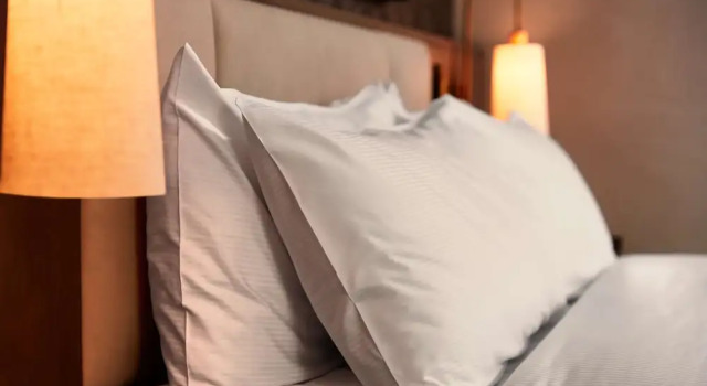Двухместный номер с видом на парк Hilton Vienna Park