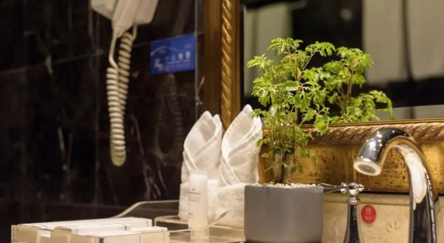 Двухместный номер Standard Wyndham Shanghai Hongqiao