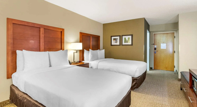 Четырёхместный номер Standard Comfort Inn Quantico