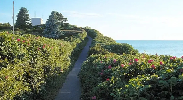 Апартаменты Gilleleje Badehotel