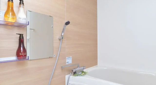 Двухместный номер Deluxe Hotel New Gaea Omuta Garden