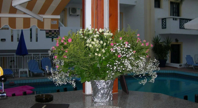 Galini Apartments and Studios