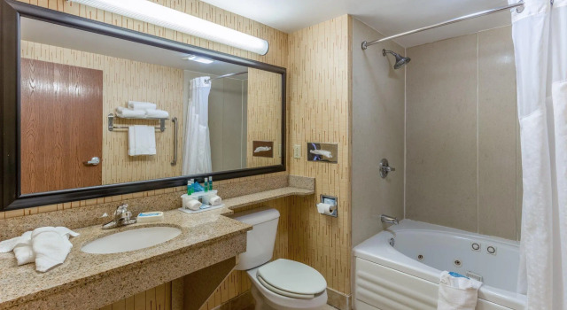 Двухместный люкс Holiday Inn Express Hotel & Suites Bowling Green by IHG