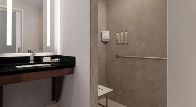 Четырёхместный номер Standard с балконом Renaissance Denver Hotel & Conference Center