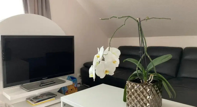 Коттедж Дуплекс Modern House Gehrden auf 2 Etagen, Nice Garten, Barbecue, Contactless Check-in, free parking