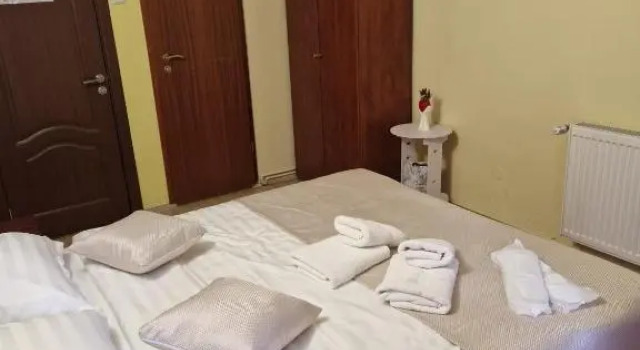Двухместный номер Standard с видом на горы Vila Pinul si Mesteacanul