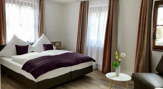 Двухместный номер Standard Hotel-Gasthaus Schwanen