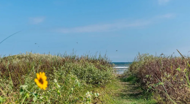 Коттедж 2nd Row Beach Home Ocean Views Old School Vibes - 1 min Walk to Sunny Beach