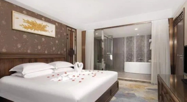 Двухместный полулюкс Zhenbao Holiday Hotel (Nanjing Olympic Sports Center)