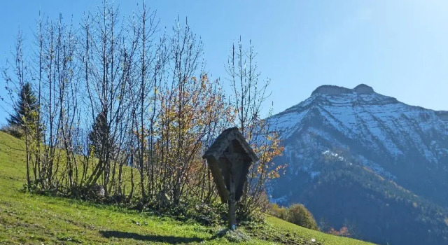 Cottage Schwammerlhütte