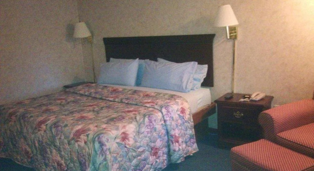 Dartmouth Motor Inn, Buchen Sie Gasthaus  