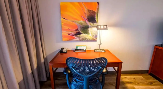 Двухместный люкс Hilton Garden Inn Bowling Green