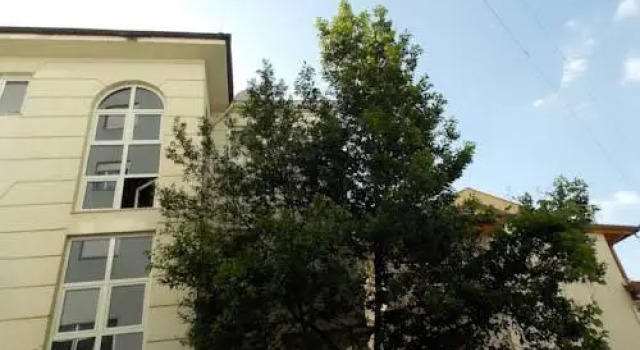 Botanic Park Apartments
