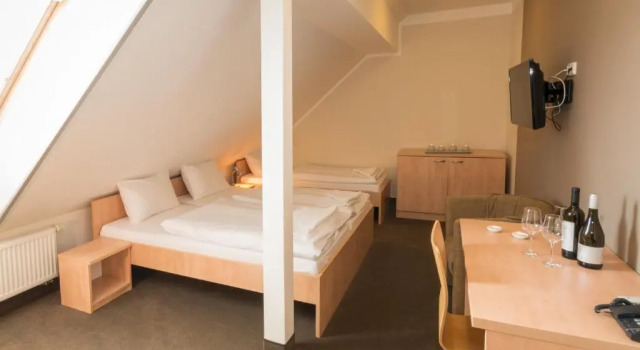 Трёхместный номер Standard Relax Hotel Stork