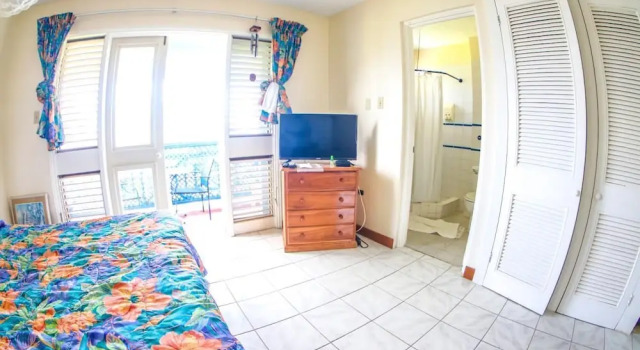 Negril Studio Terez