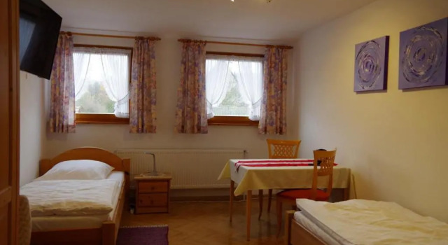 Двухместный номер Standard Appartement Fleischmann