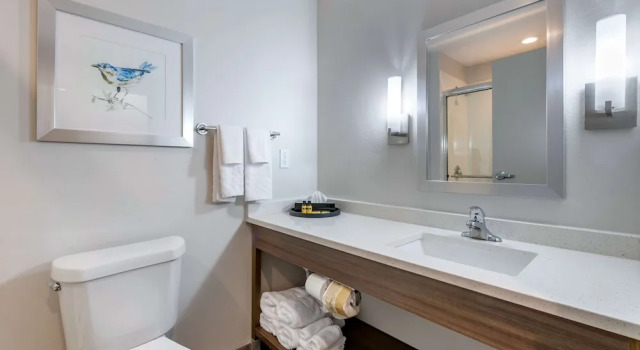 Люкс Best Western Plus Lakeland