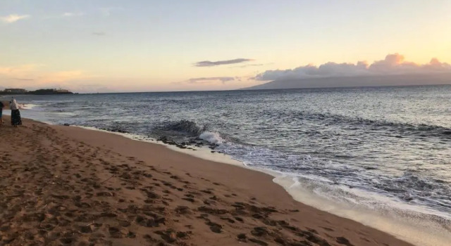 Коттедж Maui Westside Presents: Luana Garden Villas 14D