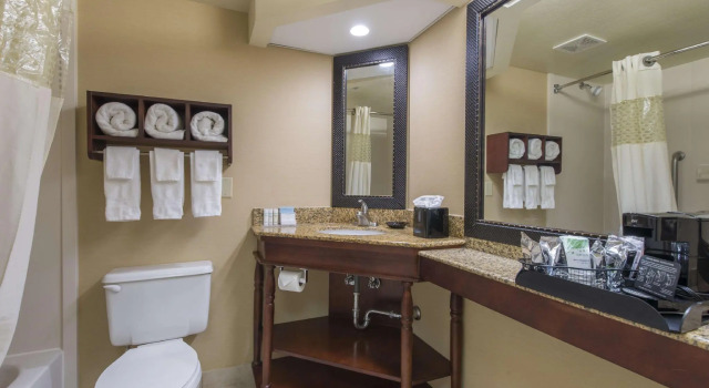 Номер Standard Hampton Inn Atlanta-Newnan