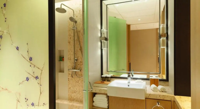 Двухместный номер Standard Hilton Garden Inn Dandong