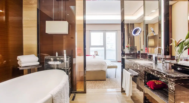 Номер Deluxe Vaya International Hotel