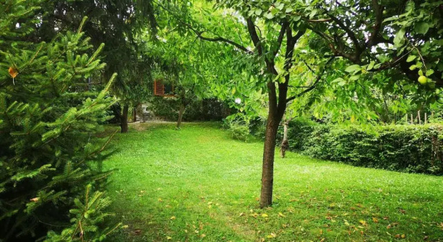 Коттедж Bocke Beach House