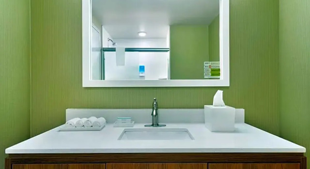Одноместная студия Home2 Suites by Hilton Roanoke