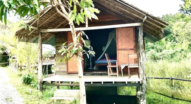 Frog Garden Hut
