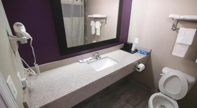 Одноместный номер Standard Home Inn and Suites Memphis