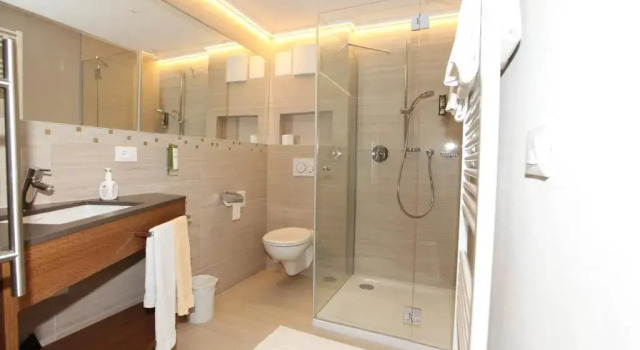 Номер Standard Hotel Goldener Adler